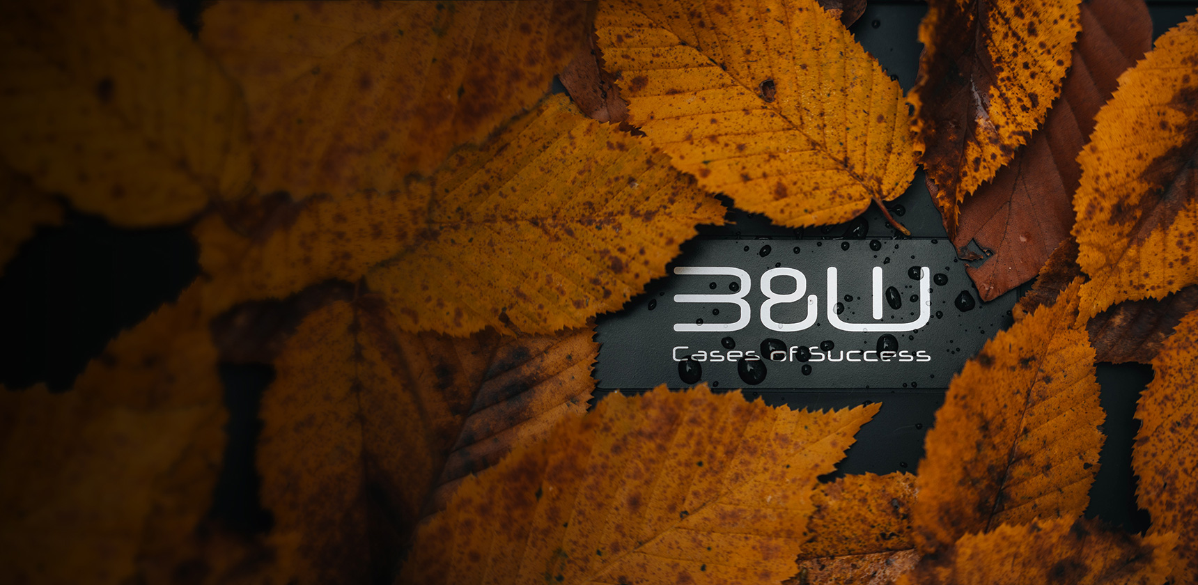 尽&ldquo;箱&rdquo;成功